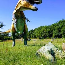 Le Pietre del Drago