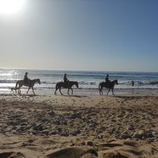 Surfspot Km11 Km12
