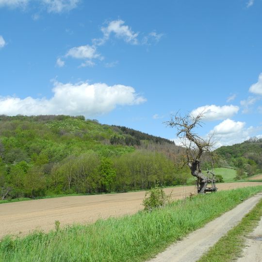 Mosenberg bei Homberg