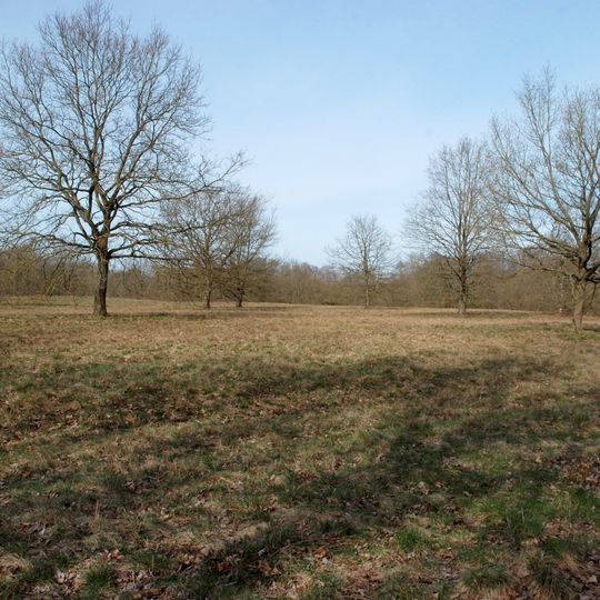 Herrnburger Dünen