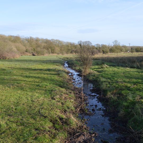 Blagrove Common