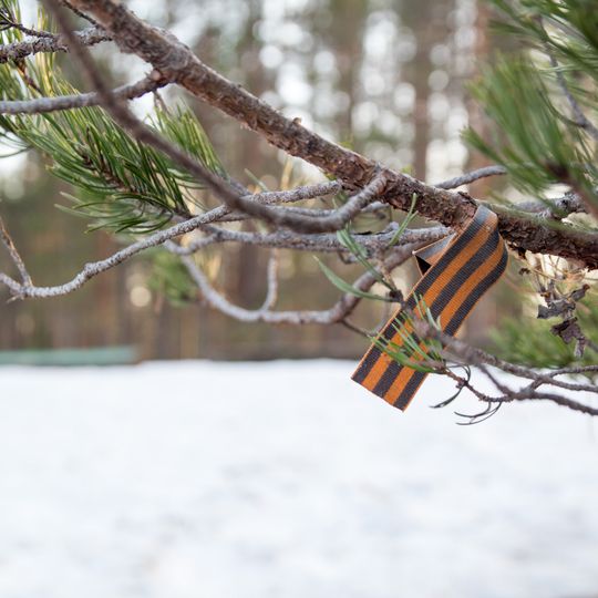 Сад, посаженный в честь воинов 3-й Фрунзенской дивизии Ленинградского народного ополчения, павших в 1941 г.