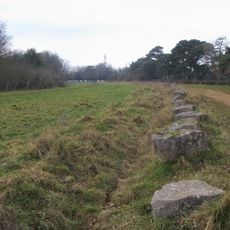 Brasenose Wood and Shotover Hill