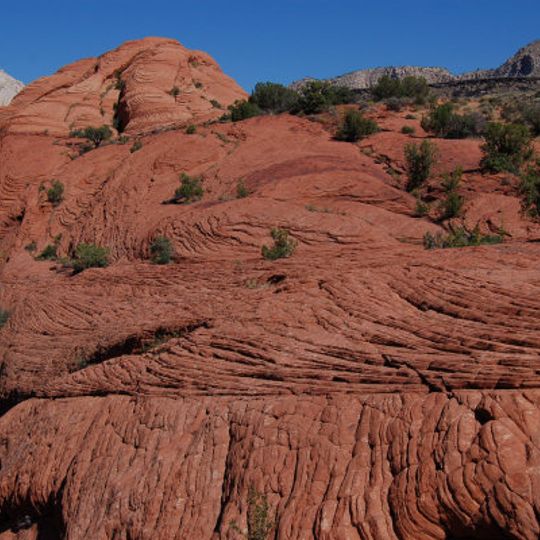 Petrified Sand Dunes