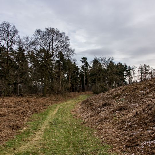Multivallate hillfort at Bury Bank