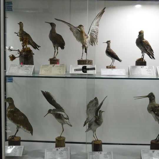 Natural History and Technology Museum of Shiraz University
