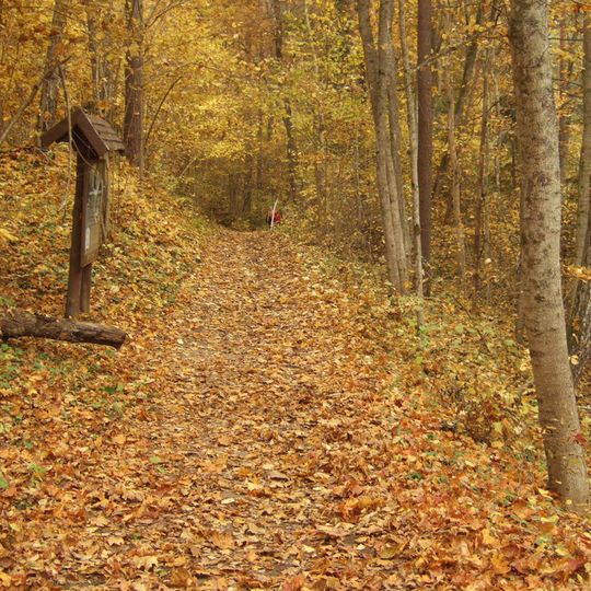 Karmazinai cognitive trail