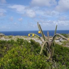 Mona and Monito Islands Nature Reserve