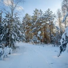 Myklashevshchyna botanical reserve