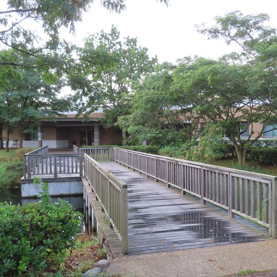 Shinjiko Nature Museum Gobius