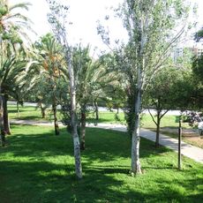 Alberedetes de Serrans