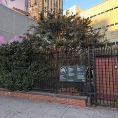 Brooklyn Bears Rockwell Plaza Garden