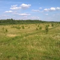 Zolotuchinskij rajon