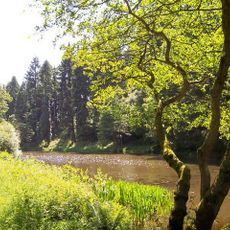 Soudley Ponds