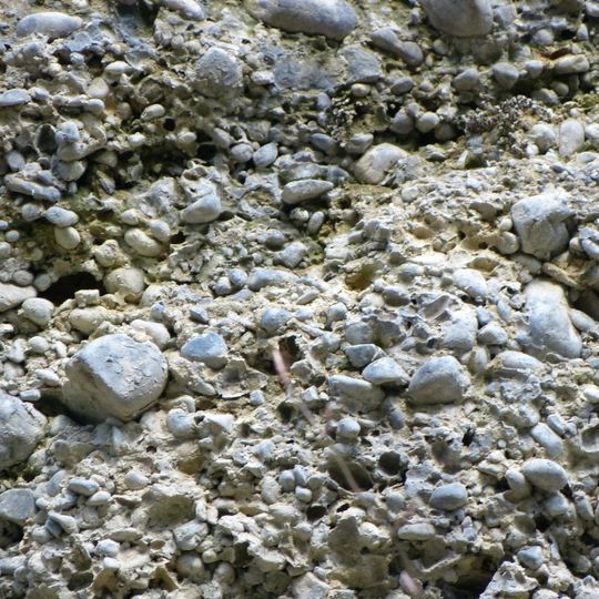 Nagelfluh-Aufschluss westlich von Bad Grönenbach