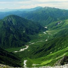 Камикоти