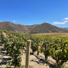 Quinta do Vale Meão e Capela