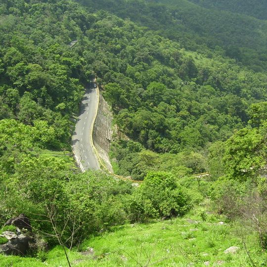Thamarassery