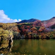 Cheongsong