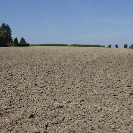 Gräberfeld Tulbingerfeld