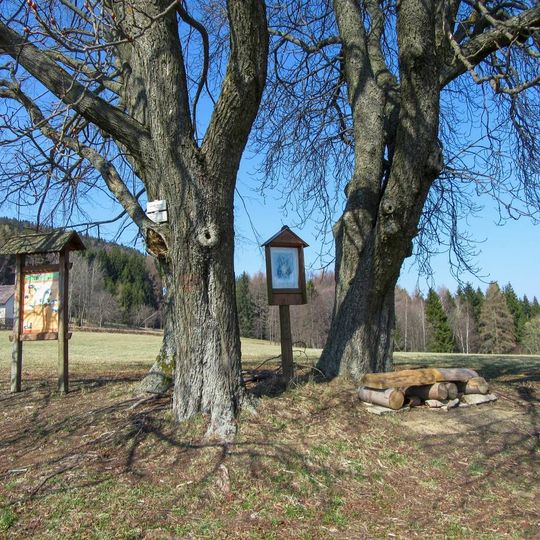Obrázek v Janoušově Na Wilsonu