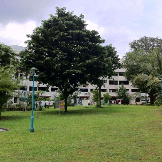 Batería Buona Vista