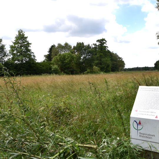 Kammereckswiesen und Herchwiesen von Langen