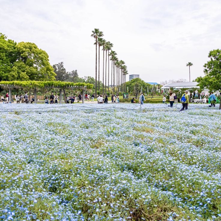 TeamLab Botanical Garden