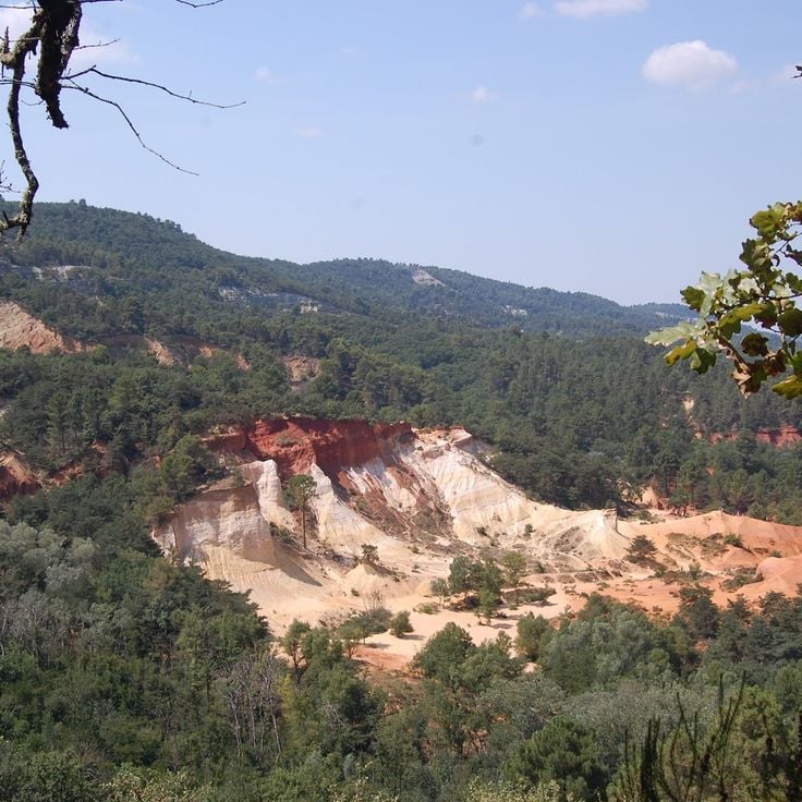 Provenzalischer Colorado