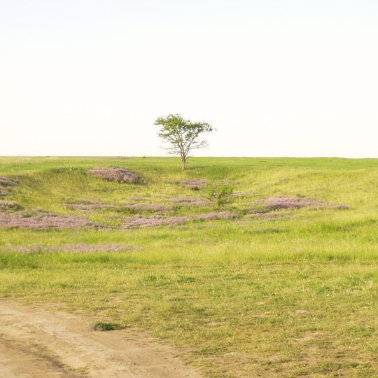 Іллюхівський заказник