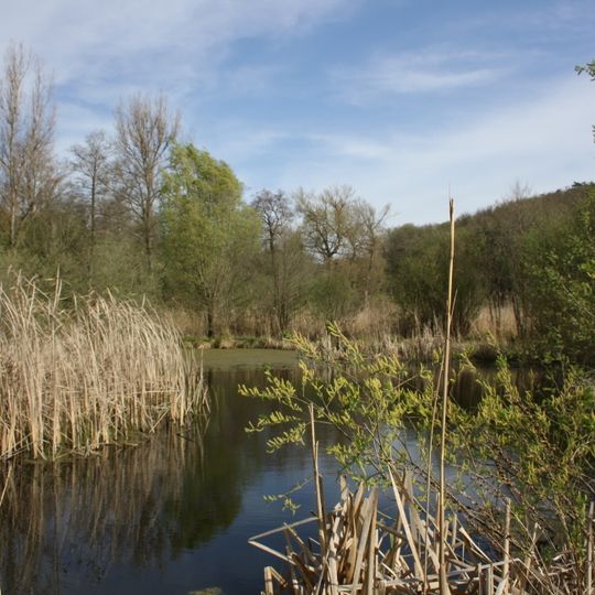 Střelická bažinka