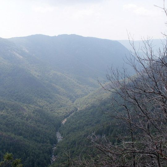 Linville Gorge Wilderness