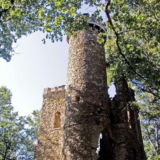 Henry Castle on Grodna