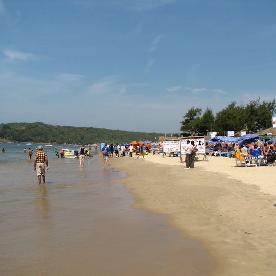 Baga