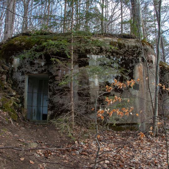 H-33/20/D1 Z light pillbox