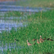 Quivira National Wildlife Refuge
