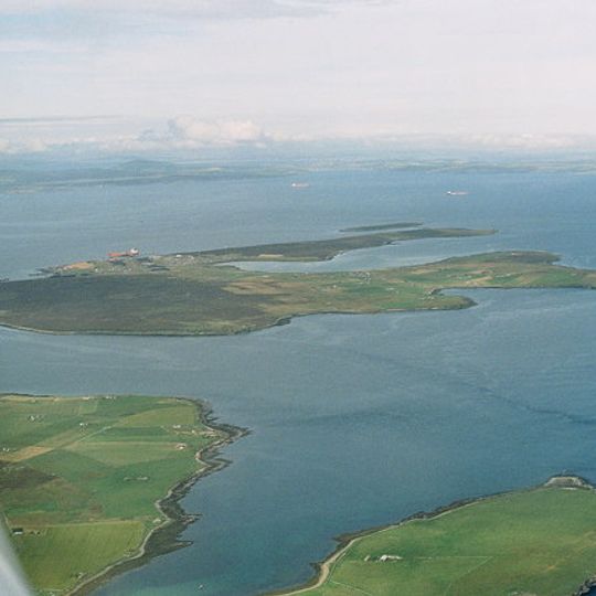 Flotta