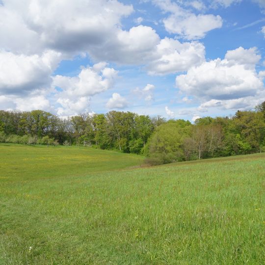 Pflanzenstandort Buchenklinge/Egerten