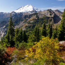 Mount Baker–Snoqualmie National Forest