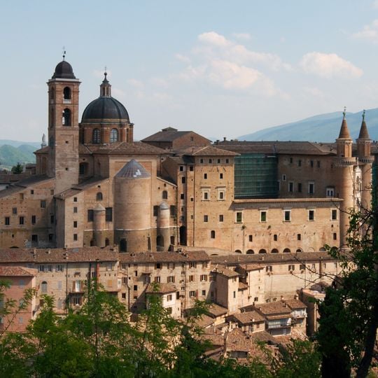 Urbino