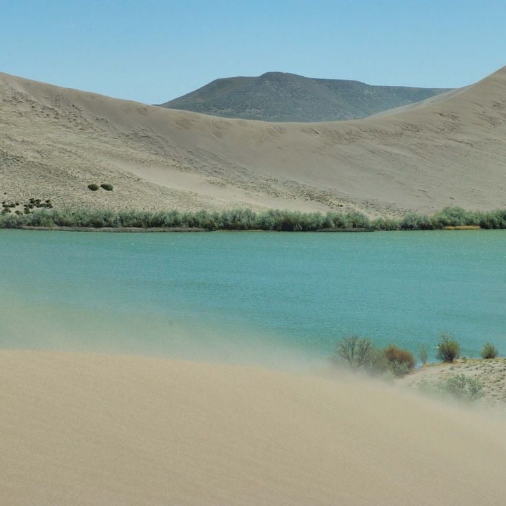 Parc d'État des Dunes de Bruneau
