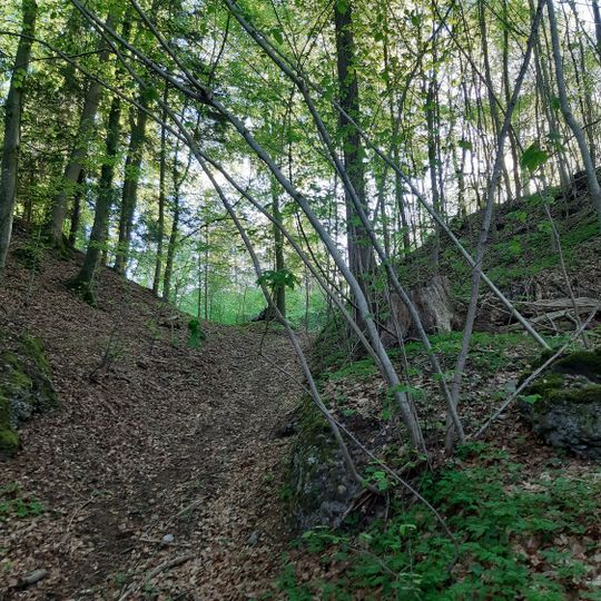 Burgstelle Unter Baliken