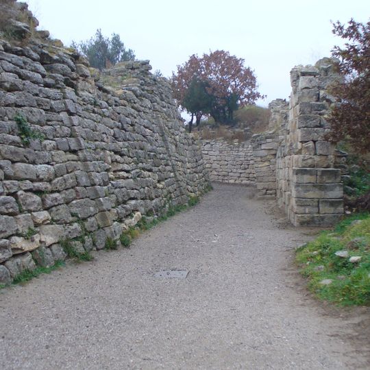 Troy VII