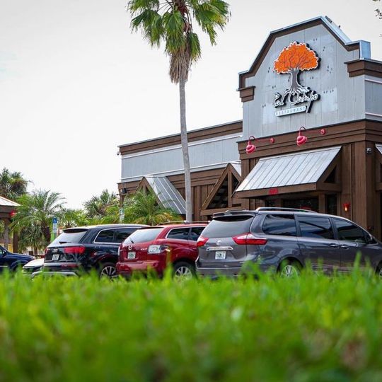 Pal Campo Restaurant Tampa
