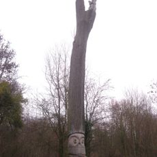 Arbre Sculpté
