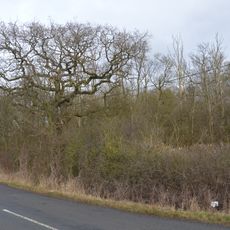 Weaveley and Sand Woods