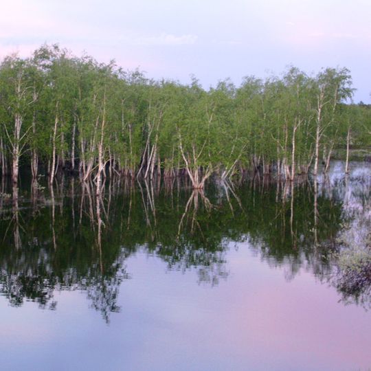 Sovetsky District