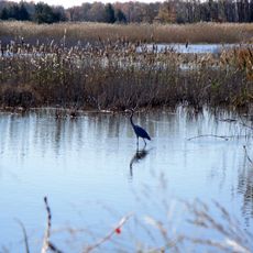 Prime Hook National Wildlife Refuge