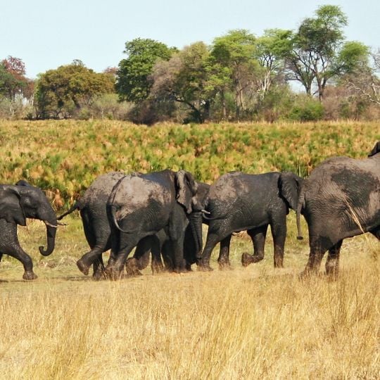 Bwabwata National Park