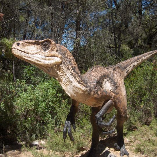 Musée des Dinosaures